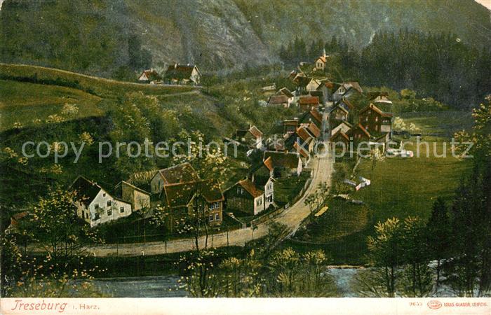 Treseburg Harz Panorama Blick ins Tal