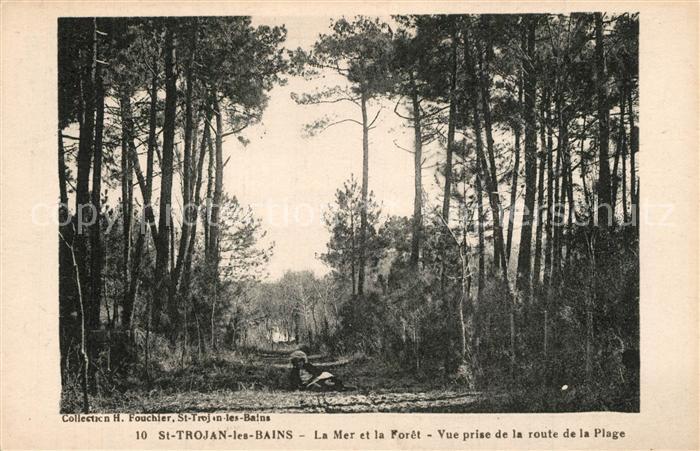 Saint-Trojan-les-Bains La Mer et la Forêt vue prise de la route de la plage