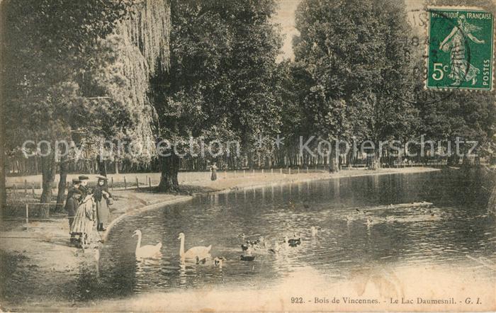 Bois de Vincennes Lac Daumesnil Cygnes