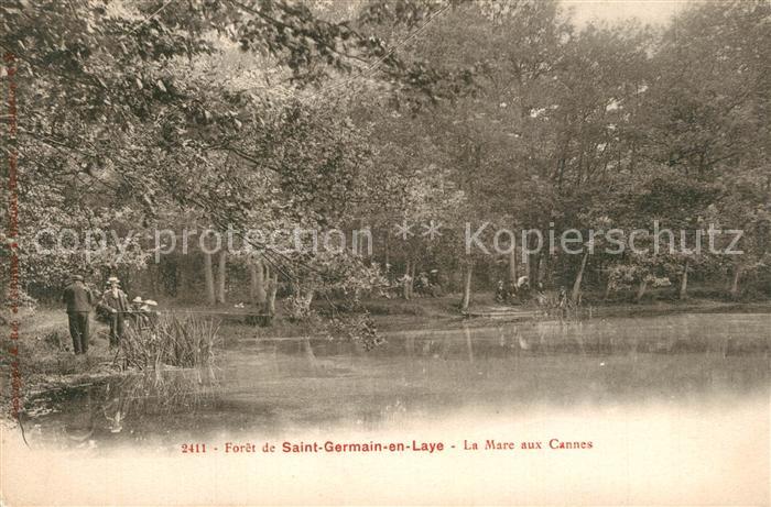 Saint-Germain-en-Laye La Mare aux Cannes a la Forêt