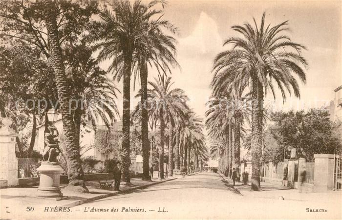 Hyeres les Palmiers Avenue des Palmiers