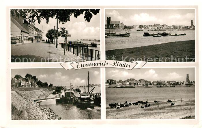 Emmerich Rhein Rheinpromenade Dampferanleger Viehweide Kuehe