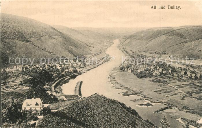 Alf Mosel Panorama Moseltal mit Alf und Bullay