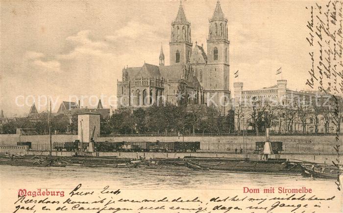 Magdeburg Dom mit Stromelbe