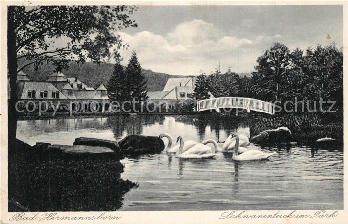 Bad Hermannsborn Schwanenteich im Park