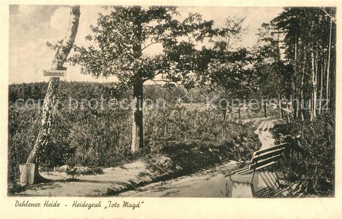 Dahlener Heide Heidegrab Tote Magd Landschaft Natur