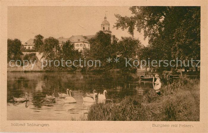 Bad Salzungen Burgsee mit Felsen Schwaene