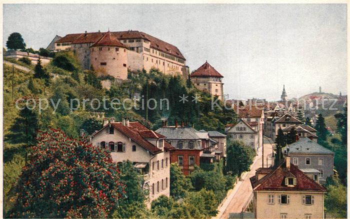 Tuebingen Schloss mit Neckarhalde
