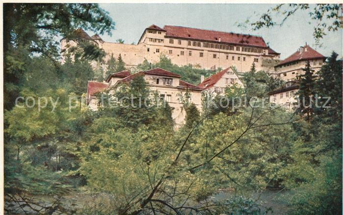 Tuebingen Schloss