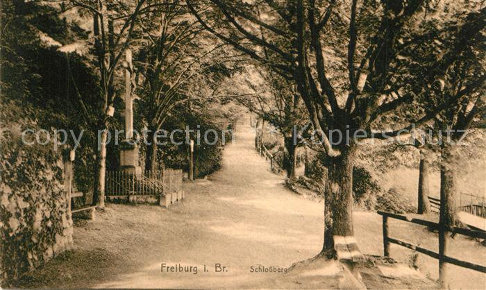 Freiburg Breisgau Partie auf dem Schlossberg Inri Kreuz