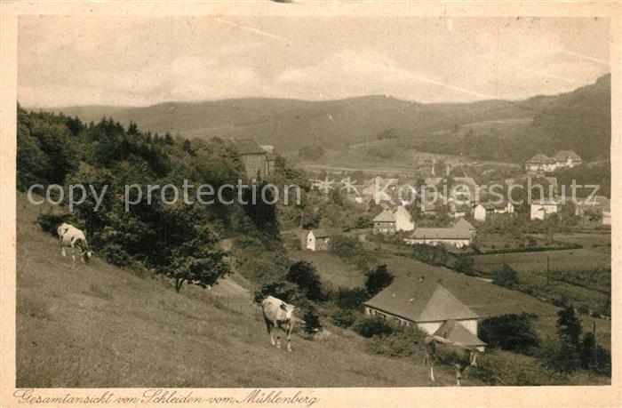 Schleiden Eifel Panorama Blick vom Muehlenberg