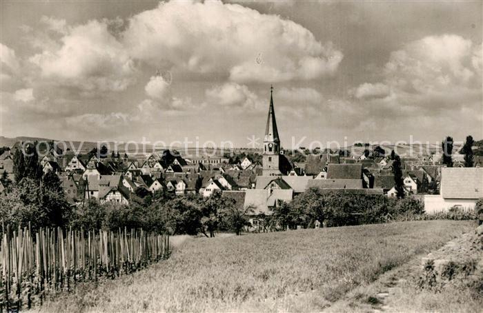 Brackenheim Panorama Kirche