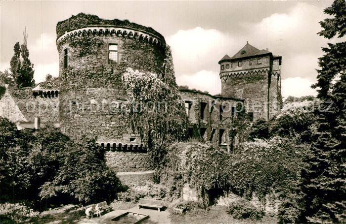 Andernach Im Schlossarten Schlossruine