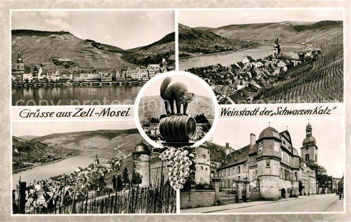 Zell Mosel Panorama Schloss