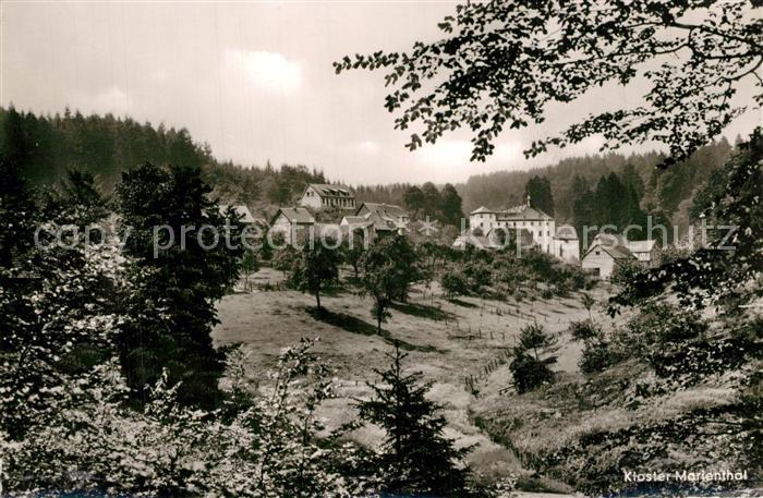 Hamm Sieg Marienthal Pension Haus Elisabeth Panorama