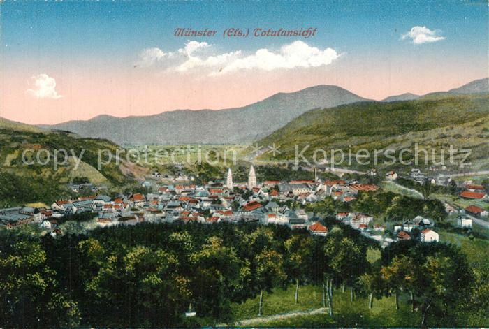 Muenster Elsass Panorama