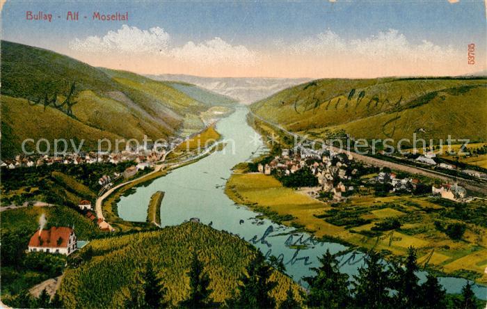 Bullay Mosel Alf Panorama