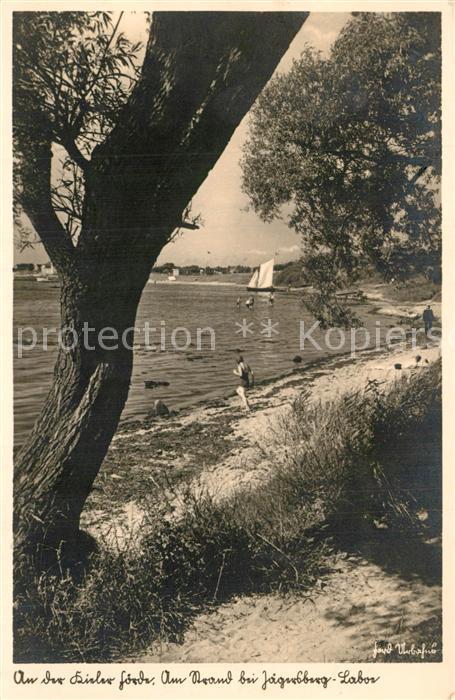 Laboe Kieler Foerde Strand bei Jaegersberg