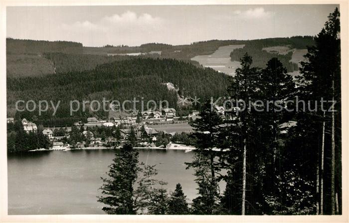 Titisee Panorama