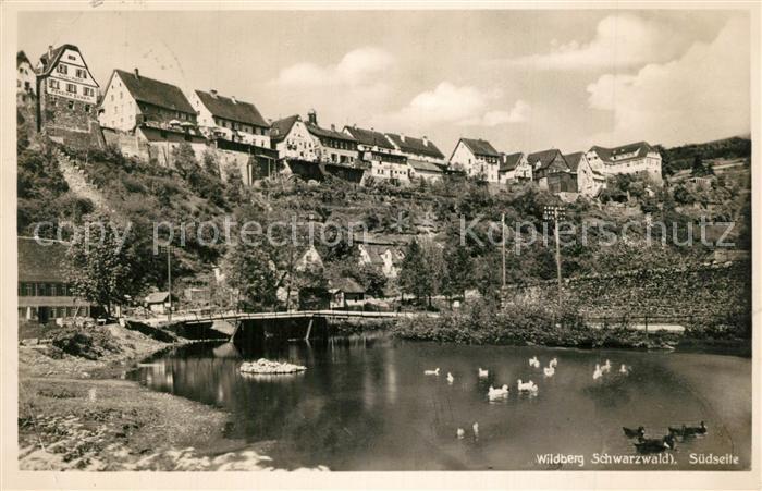 Wildberg Schwarzwald Panorama