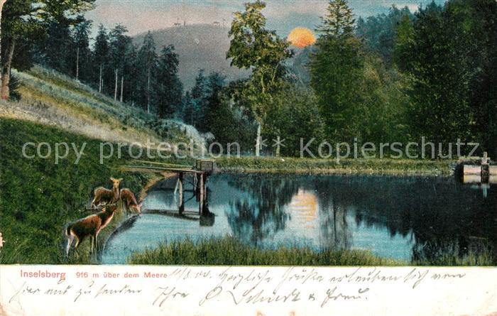 Inselsberg Schmalkalden Panorama