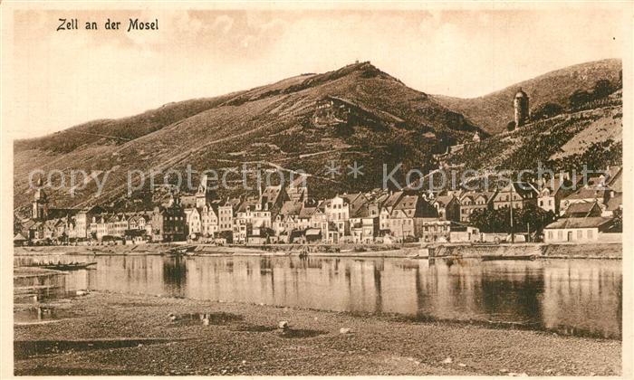 Zell Mosel Panorama