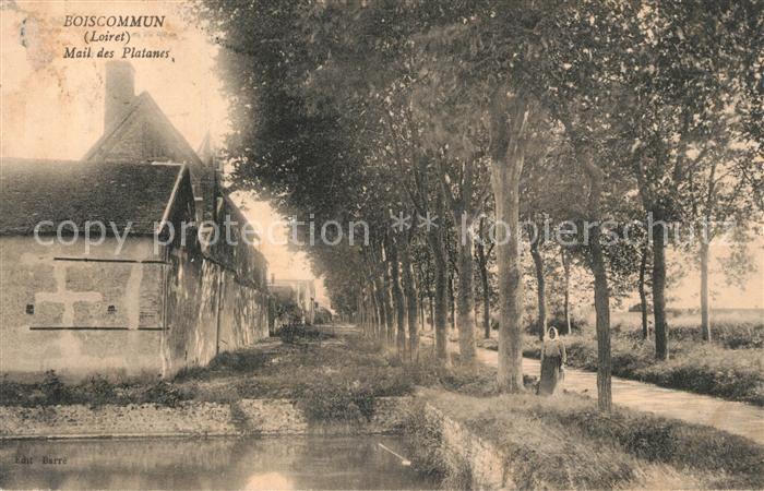 Boiscommun Mail des Platanes