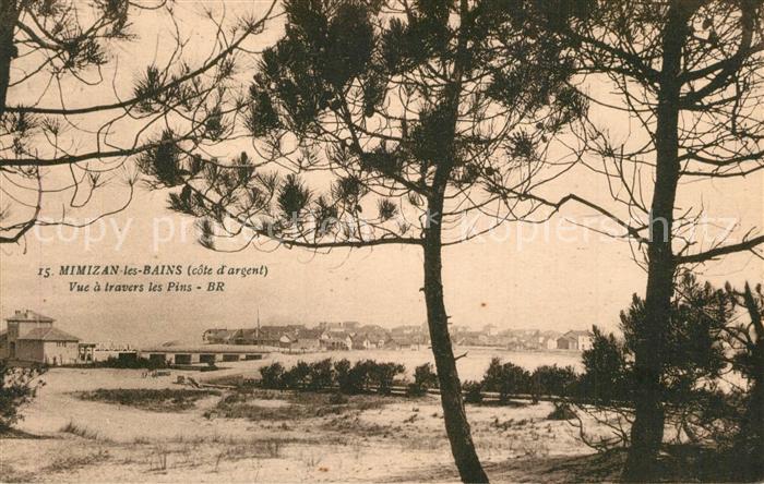 Mimizan Landes Vue a travers les pins