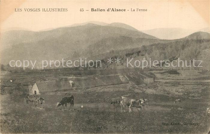 Ballon d Alsace La Ferme Paysage les Vosges