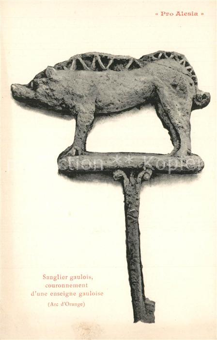 Alesia(Roman War) Alise-Sainte-Reine Sanglier gaulois