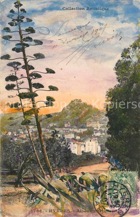 Hyeres les Palmiers Aloes en fleurs Dessin Künstlerkarte