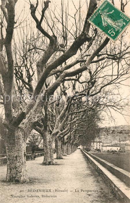 Bedarieux La Perspective Promenade Allée