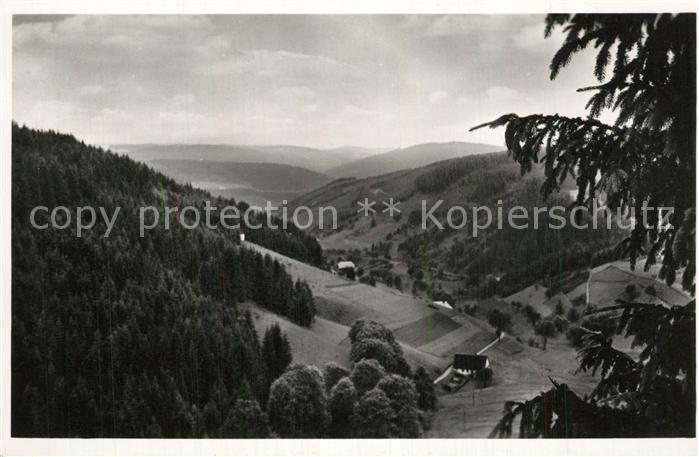 Triberg Schwarzwald Oberes Nussbachtal