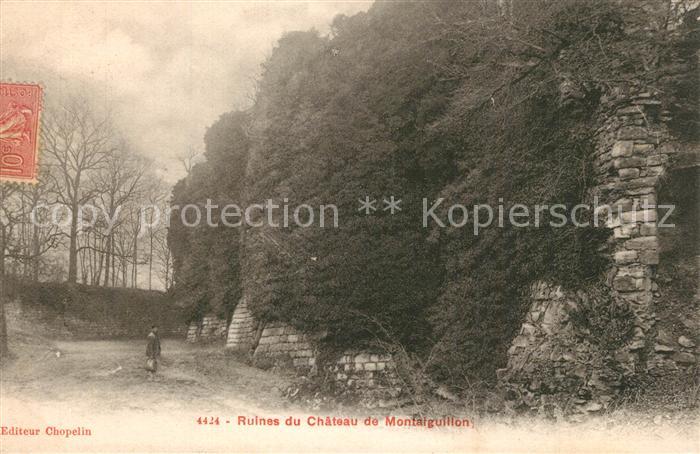 Villenauxe-la-Grande Ruines du Chateau de Montaiguillon
