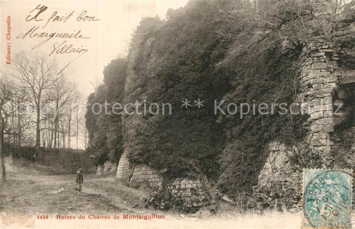 Louan-Villegruis-Fontaine Ruines du Chateau de Montaiguillon
