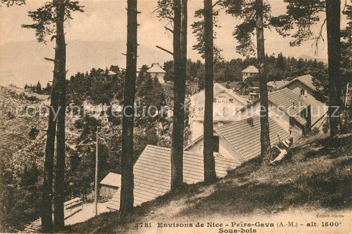 Peira-Cava Sous bois Village