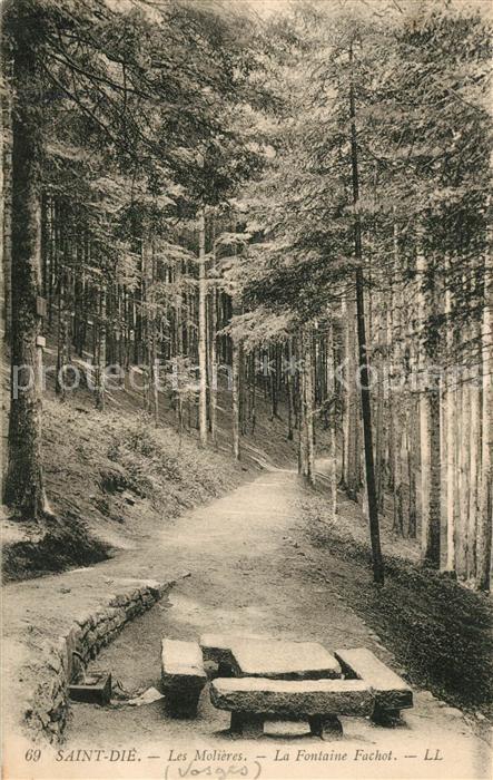 Saint-Die-des-Vosges Les Molières Fontaine Fachot