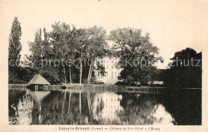 Ligny-le-Ribault Chateau de Bon Hôtel Etang