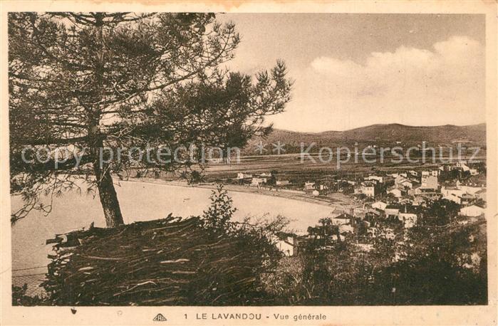 Le Lavandou Vue Generale