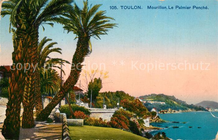 Toulon Var Mourillon Le Palmier Penché Côte d_Azur