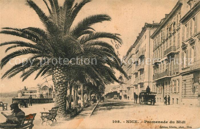 Nice Alpes Maritimes Promenade du Midi des palmiers