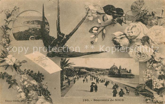 Nice Alpes Maritimes Souvenirs de la ville des fleurs Briefschwalbe