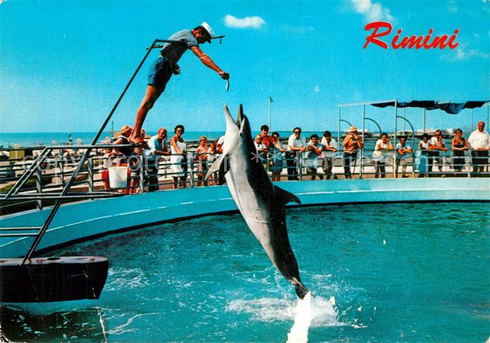 Rimini Aquarium Delphin Show