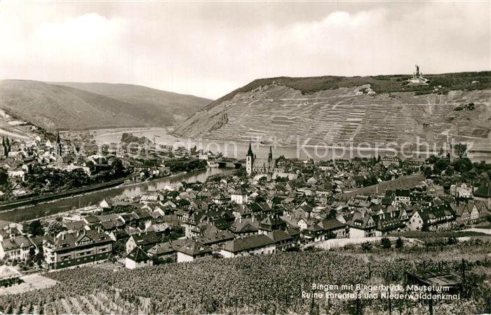 Bingen Rhein Bingerbr?ck M?useturm Ruine-Ehrenfels Niederwalddenkmal