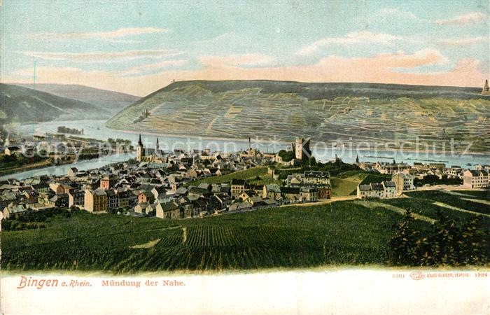Bingen Rhein mit Nahem?ndung