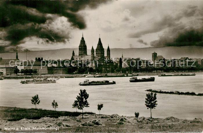 Mainz Rhein Mainm?ndung