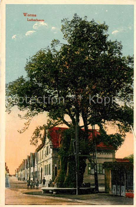 Worms Rhein Lutherbaum