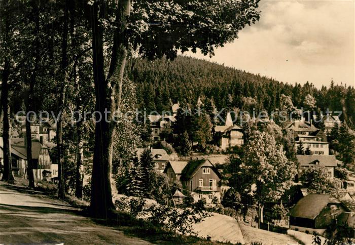 Baerenfels Erzgebirge mit Spitzberg