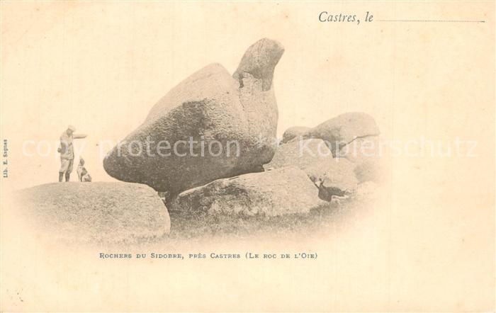 Castres Tarn Rochers du Sidobre