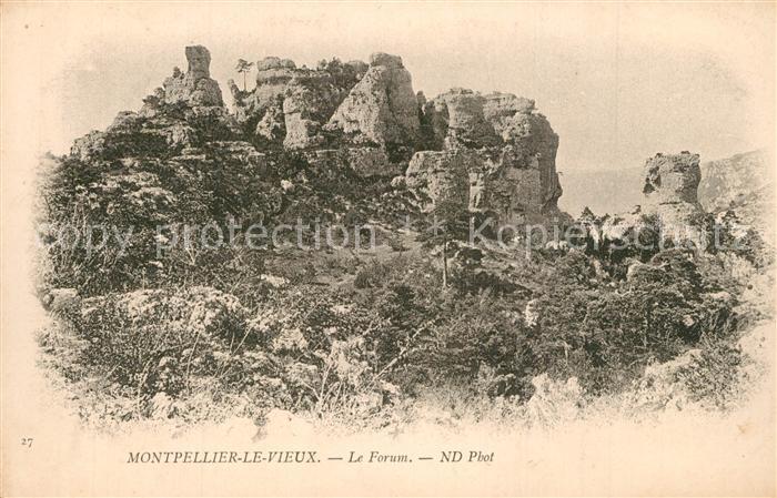 Montpellier-le-Vieux Montagne Forum